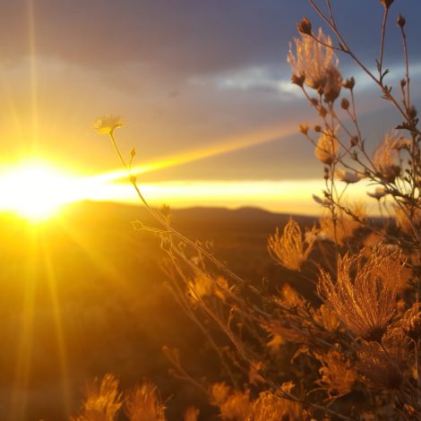10 Ways to Use Gratitude while Traveling