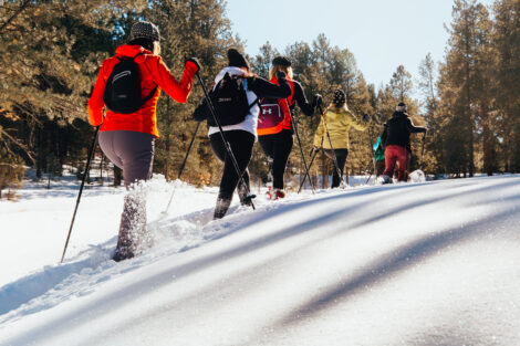 Taos Snowshoeing Day Tour Taos Snowshoeing Day Tour